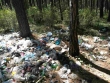 Более 80 мешков мусора – итог субботника на Арее