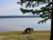 Озеро Арей получит статус природного парка в мае 2013 года
